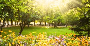 Características de la Primavera