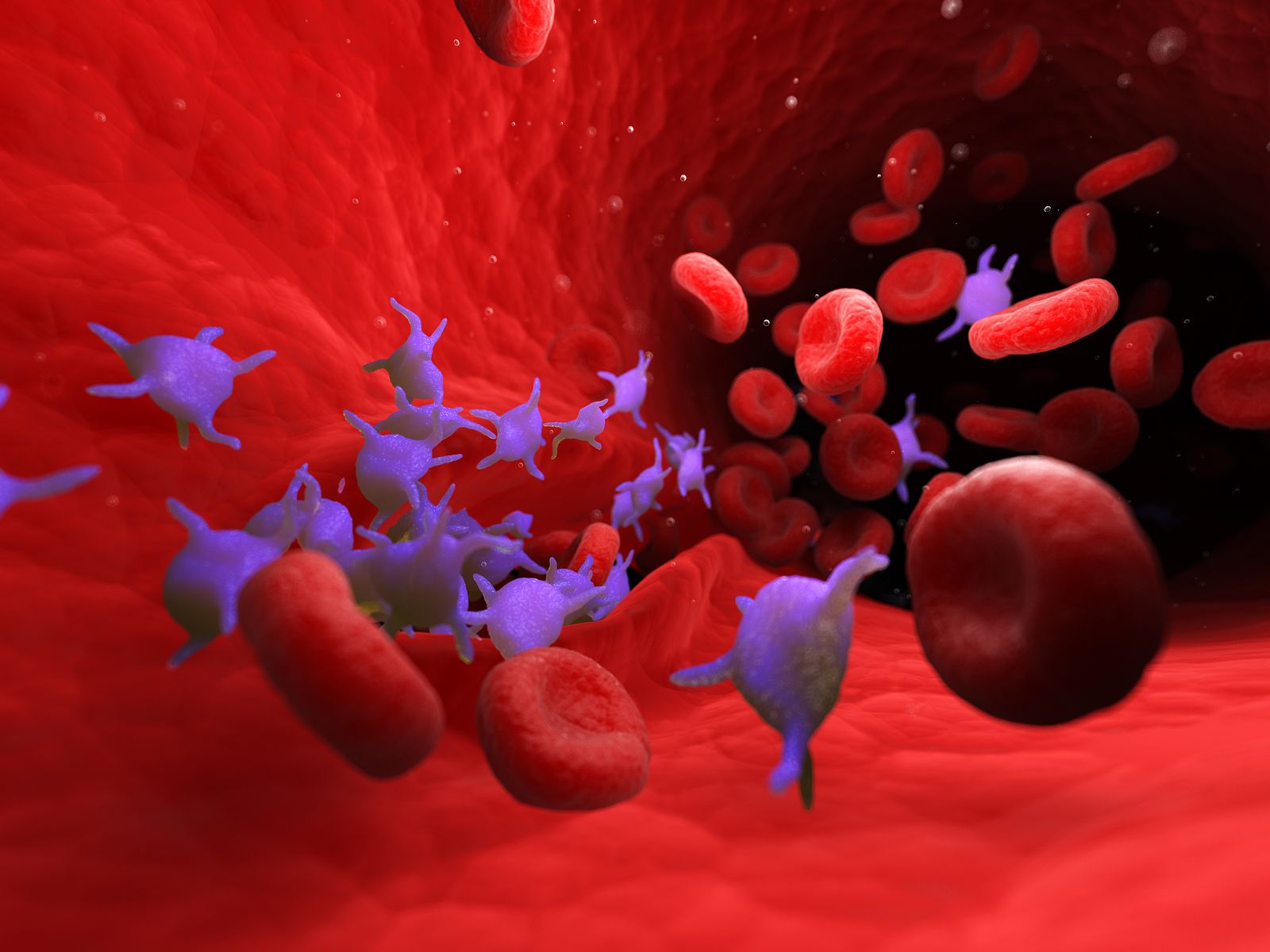 Caracter sticas del plasma