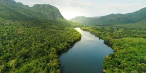 Características de la Selva