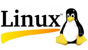 Características del Sistema Operativo Linux