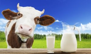 5 características de la Leche