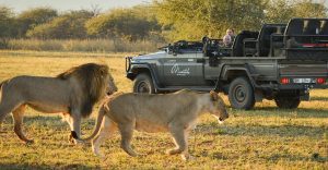 Características Principales de Safari