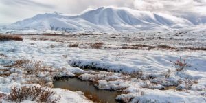 Características de la Tundra