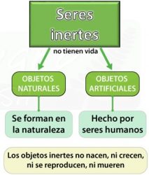 Características de los Seres No Vivos