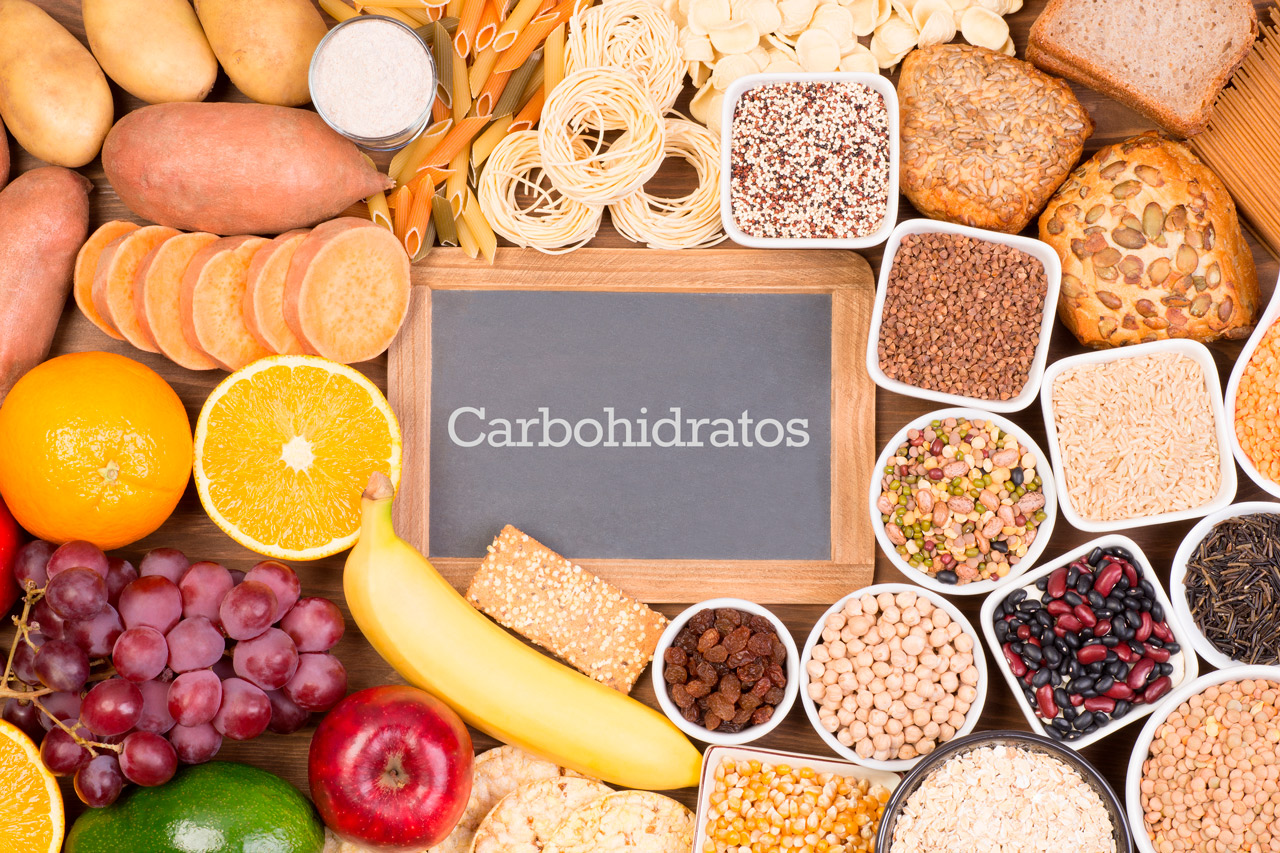 ¿cuáles Son Las Características De Los Carbohidratos