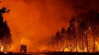 Características de un Incendio forestal