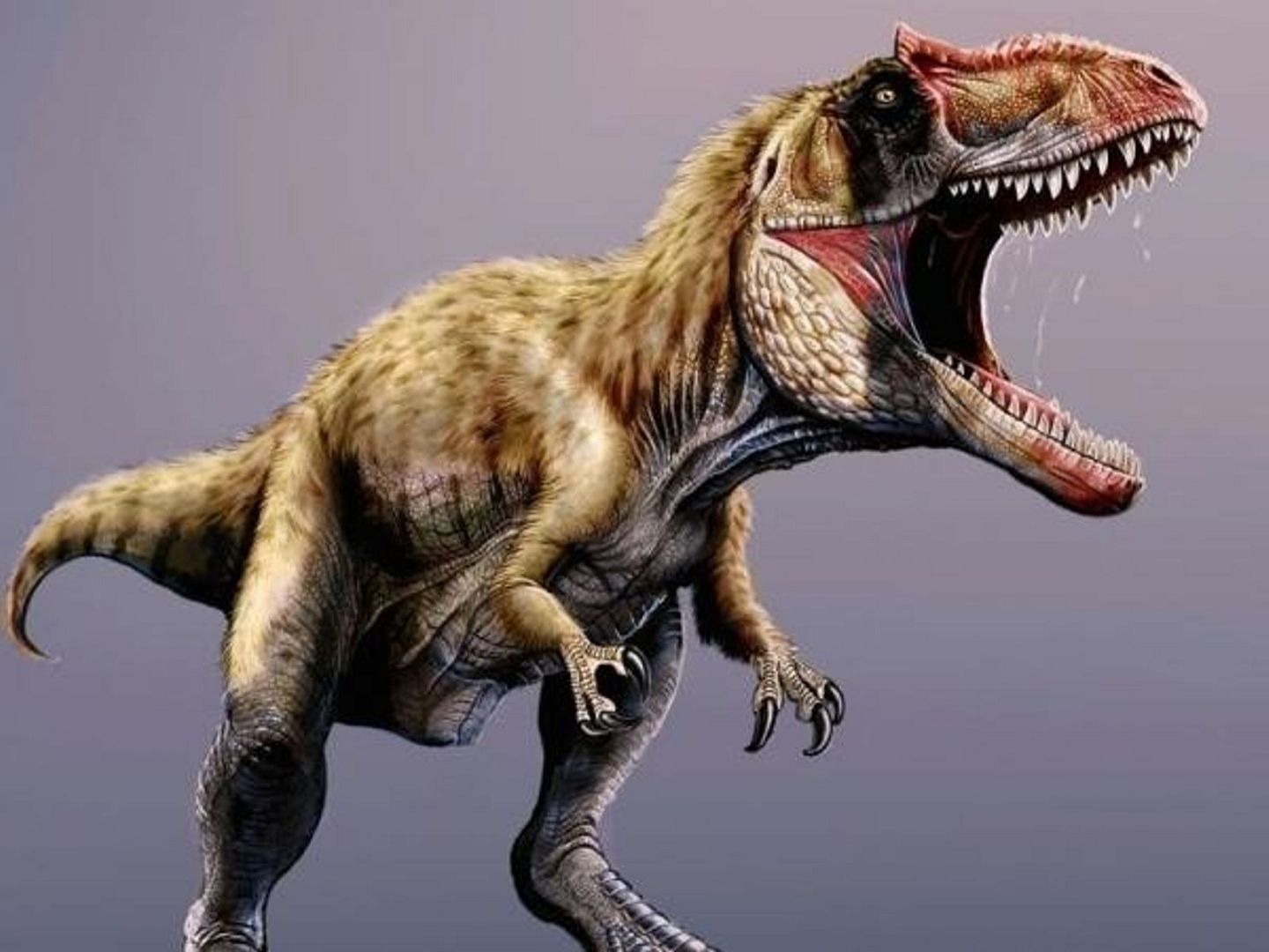 Cuáles son las Características de un Dinosaurio?