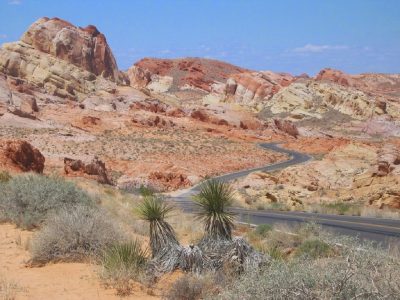 Características del Clima Seco